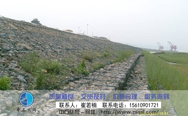 生態格網 生態格網