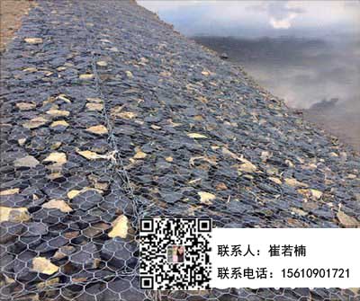 雷諾護墊 雷諾護墊