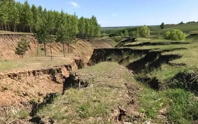 4afbfbedab64034fc419e64cd372d53b08551ddb.webp.jpg 4afbfbedab64034fc419e64cd372d53b08551ddb.webp.jpg