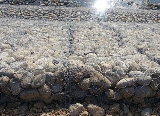 雷諾護(hù)墊 雷諾護(hù)墊